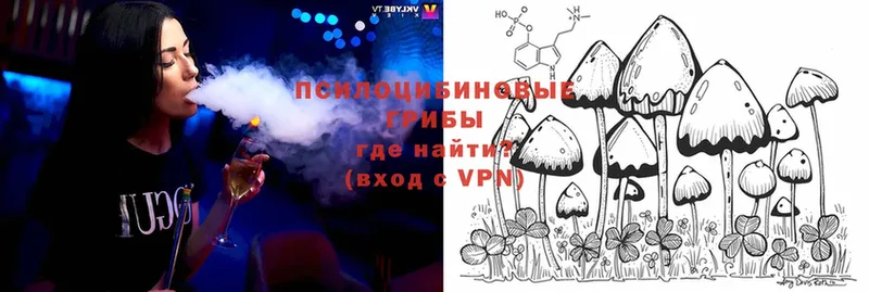 Псилоцибиновые грибы MAGIC MUSHROOMS  маркетплейс Telegram  Бронницы  как найти наркотики 